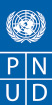 Logotipo PNUD